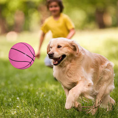 Shindel mini basketballs ideal for garden and playground activities.