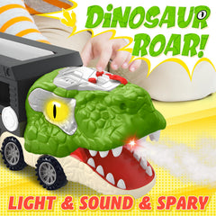 ShyLizard flip-head-car-entry-tray supports easy car entry and exits.