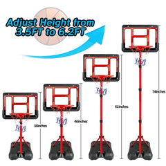 ShyLizard inflatable pump helps quick setup and play readiness.