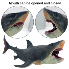 SIENON Megalodon toy side view highlighting true proportions for display