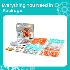 Sillbird classroom stem-activity features teacher-led engagement and student curiosity.
