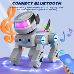 Gift-ready packaging of the SIMREX CyberDog, ideal for birthdays and holidays.