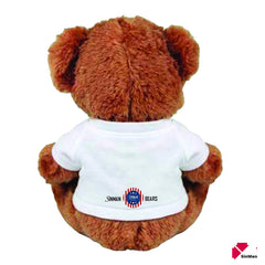 SinMan gift bear ready for delivery in packaging.