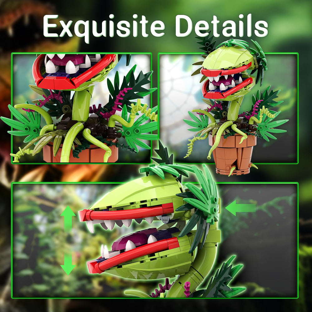 Sinuraii Audrey II assembly box with clear instructions for easy building