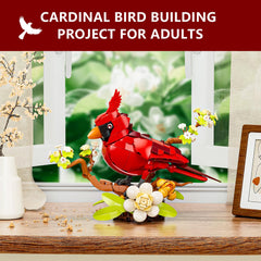Sinuraii Northern Cardinal with white dogwood flowers displays elegance.