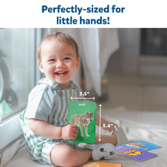 Skillmatics Thick Flash Cards illustrate birds for colorful learning moments.