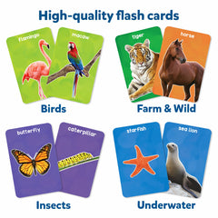 Skillmatics Thick Flash Cards showcase insects for early curiosity and recognition.