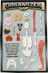 SMARTLAB Toys illustrated anatomy book guides exploration with kid-friendly diagrams.