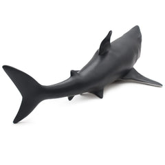 SmilerSmile educational shark prop for classroom demonstrations