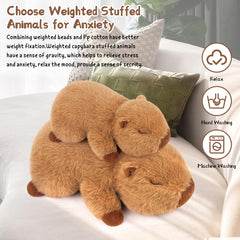 Sprinqdawin weighted capybara plush cushion for home decor