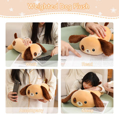 SQEQE weighted dog plush with soft-pillow function for lounging