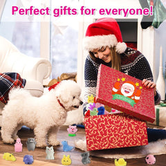 Squishiq mochi squishies colorful sensory fidget fun for kids