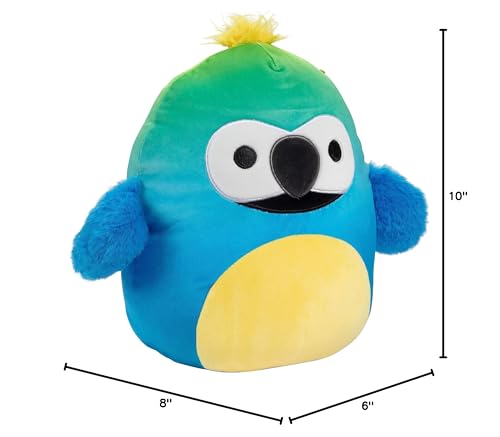 Collectible Squishmallows Macaw toy—great for fans and new collectors.