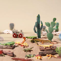 Sratte cactus model plants compact accents for desk dioramas.