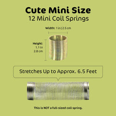Srenta 1-inch mini spring packaged-set showing full pack and variety.