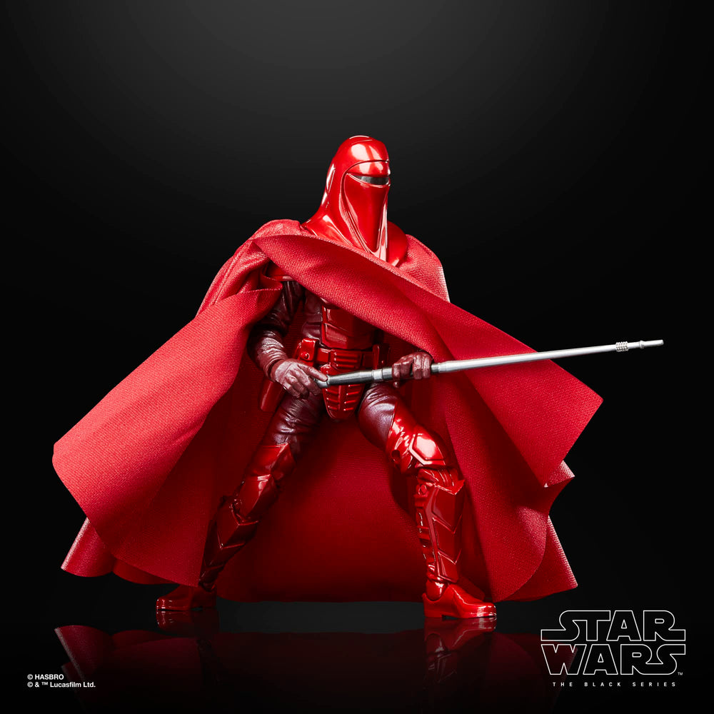 6-inch scale figures support flexible posing and shelf-friendly display.