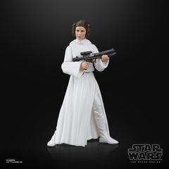 STAR WARS Princess Leia Organa figure portrait highlighting photoreal deco