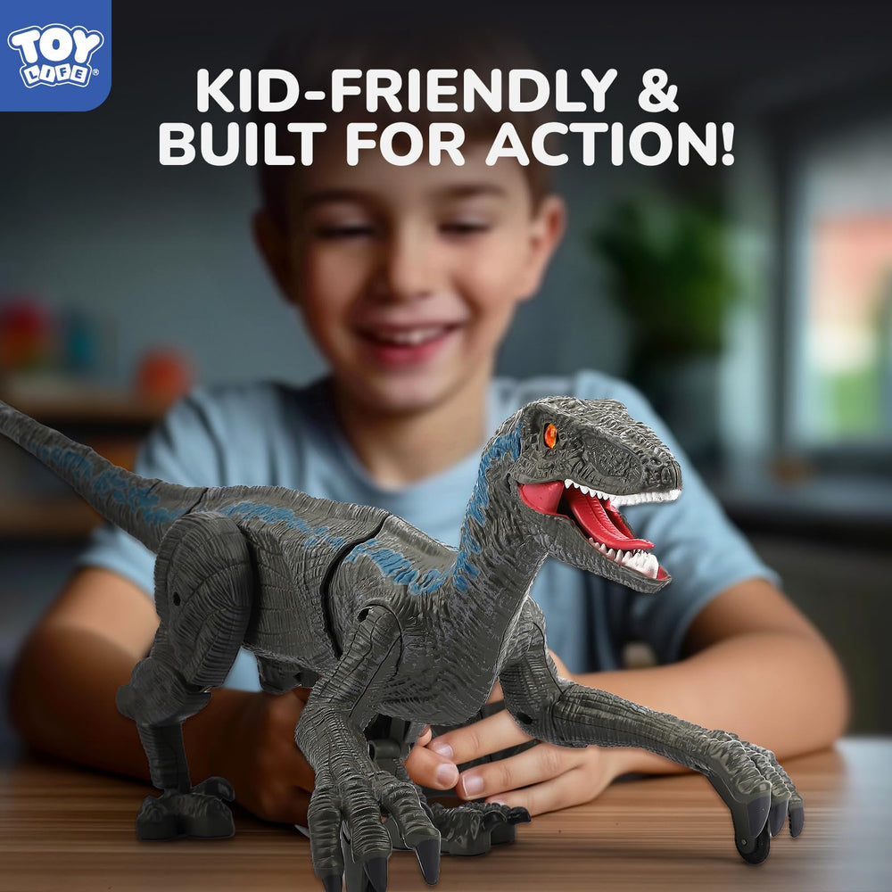 STEAM Life Velociraptor battery is rechargeable for longer play.