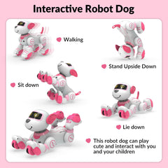 STEMTRON robot cat touch-sensing close-up showing responsive interaction.