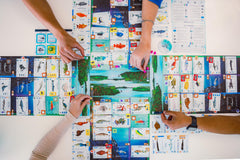 Stonemaier Finspan schools of fish cards for combo opportunities