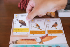 Stonemaier Wingspan Asia illustrations by Natalia Rojas and Ana Maria Martinez Jaramillo bring lifelike birds