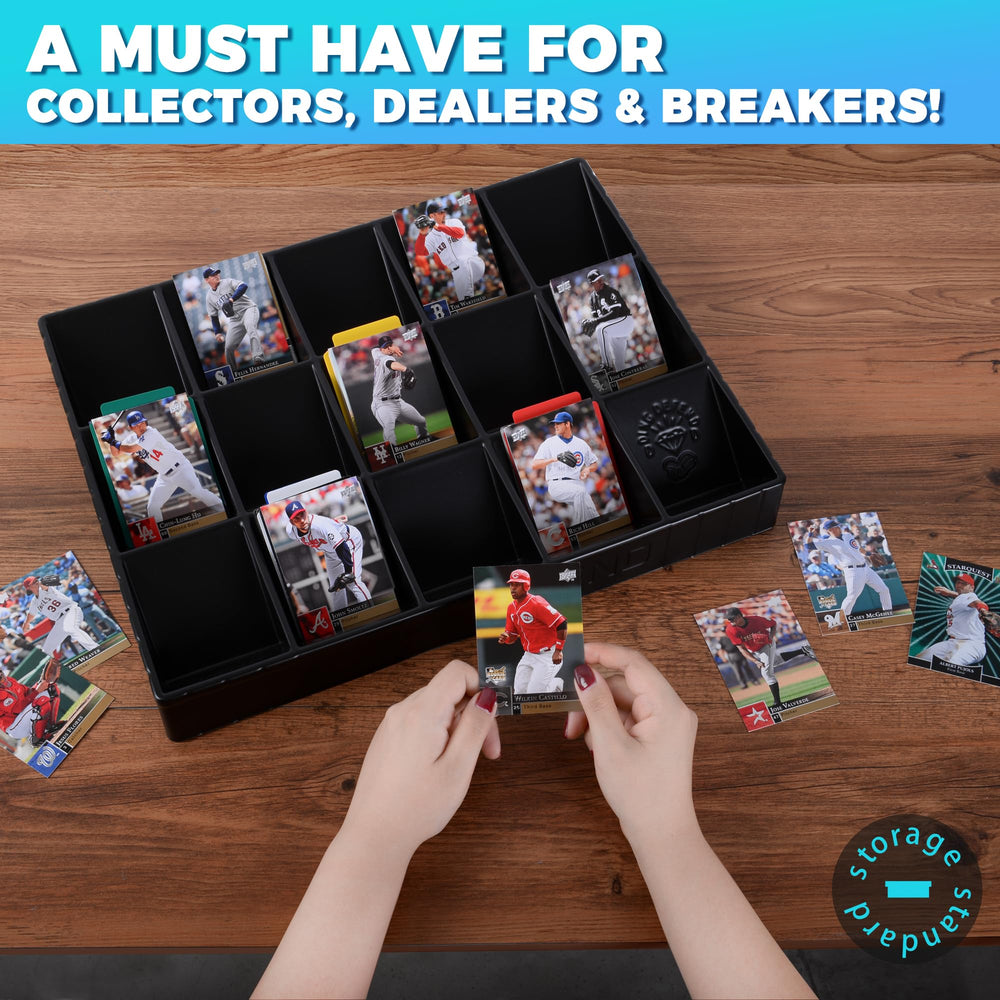 Storage Standard Raw cards fit neatly into each compartment