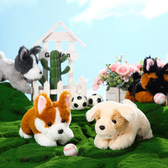Suilung Corgi plush cuddly companion for kids and desks