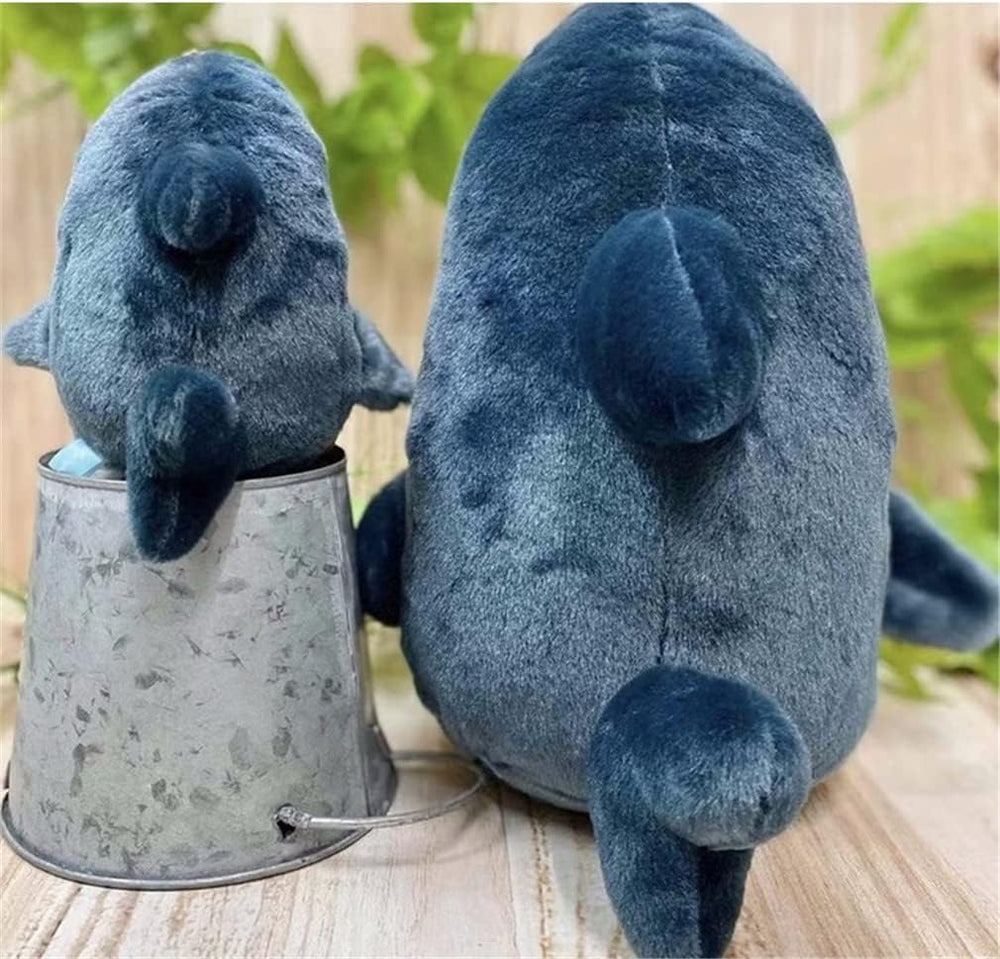 Sunfedmiss Shark Cat plush gift-ready packaging for special occasions.