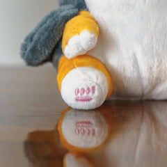 Sunfedmiss Shark Cat plush in a kid’s room decor setup, cute centerpiece.