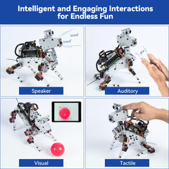 SunFounder PiDog voice recognition supports hands-free commands and intuitive interaction