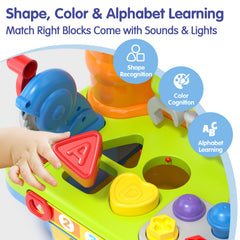 SunnyPal musical buttons and lights invite engaging early sound play.