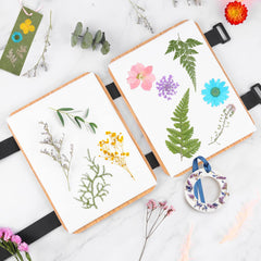 Suziko gift-ready box highlights thoughtful packaging for crafters