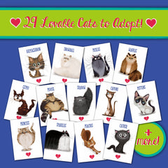 Sweet Bros Games Cat Ladies of Maple Street scoreboards track points and progress