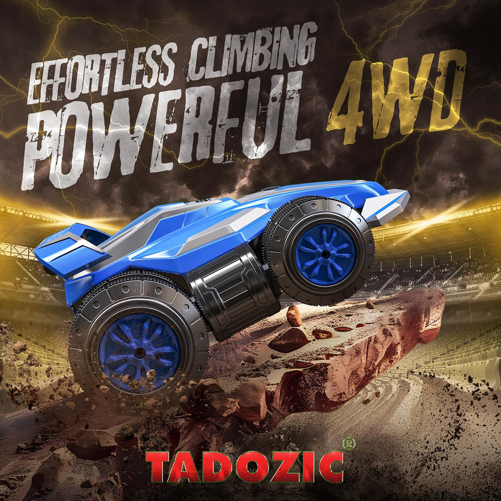 TADOZIC stunt car on outdoor terrain shows versatile performance on grass and sand