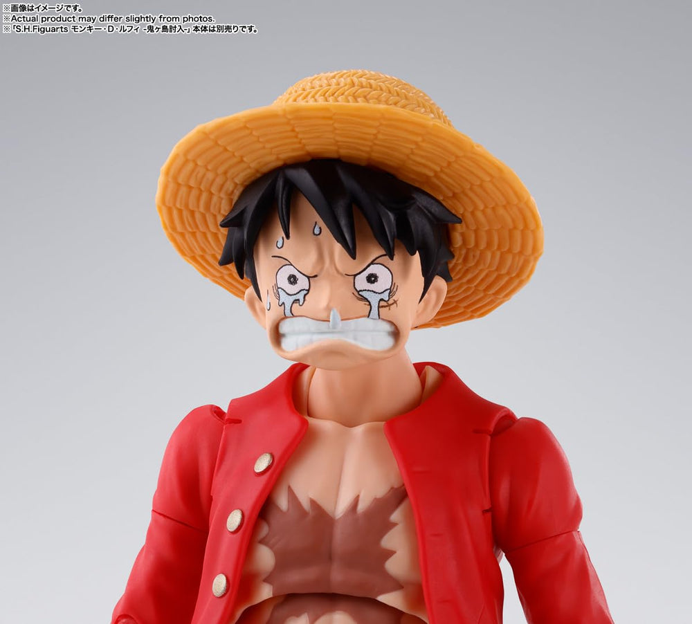 TAMASHII NATIONS Sabo replacement facial parts set.