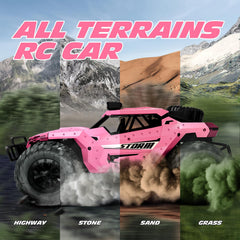 Tecnock Pink RC Car on sand shows reliable beach traction.