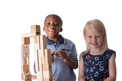 TEDCO Blocks and Marble Run pillars emphasize balance and sequential thinking.