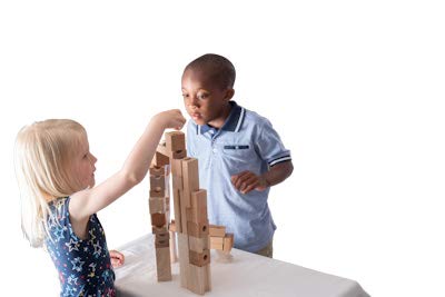 TEDCO Blocks and Marble Run special blocks present varied building challenges.
