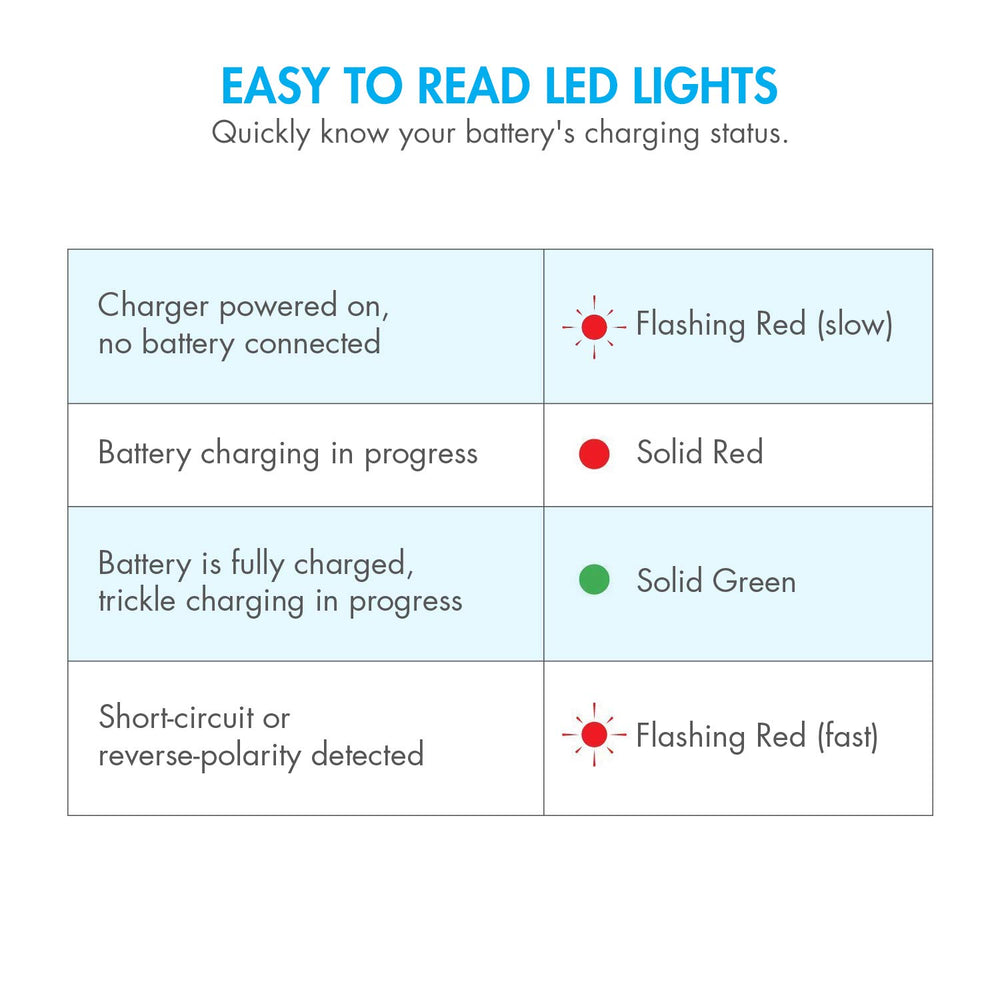 Tenergy charger supports 100-240V AC input for global use.