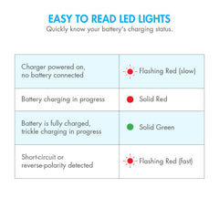 Tenergy charger supports 100-240V AC input for global use.