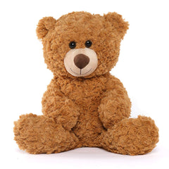 Tezituor small teddy bear front view, cuddly 18-inch companion for kids and adults.