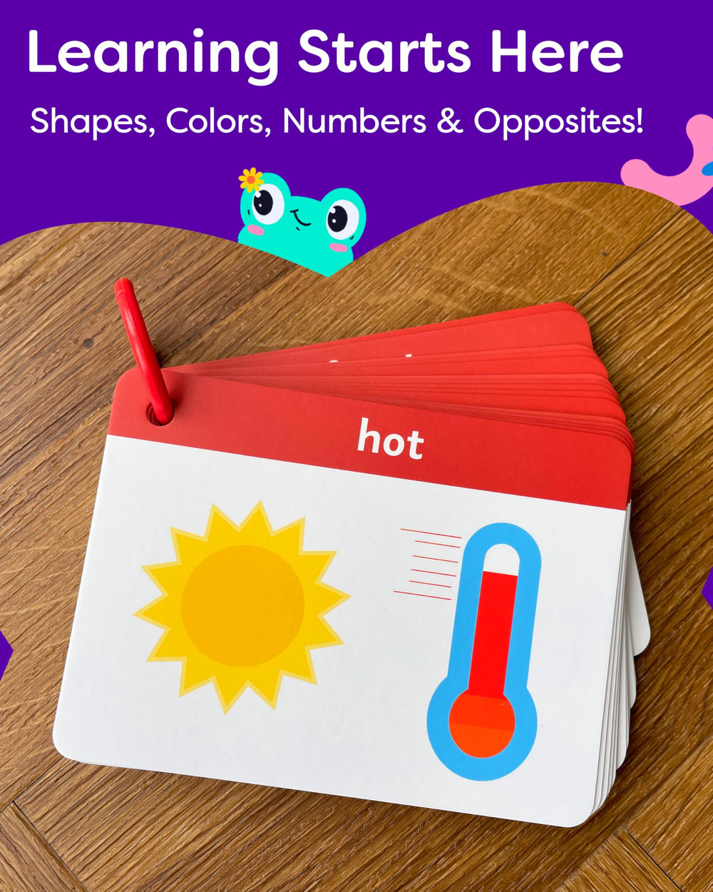 THE BAMBINO TREE classroom use flash cards promote group learning and discussion