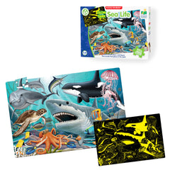 The Learning Journey front packaging showing sea life artwork and product size benefit: clear product view