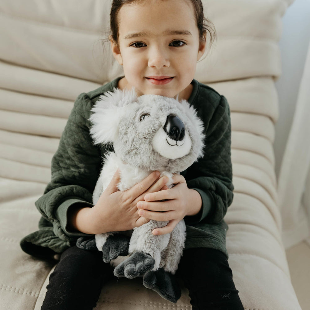 The Petting Zoo koala marsupial friend spark curiosity and storytelling.