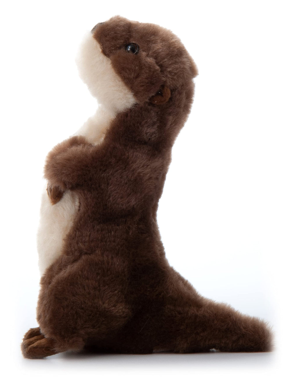 The Petting Zoo river otter close-up showing curious eyes for imaginative storytelling.