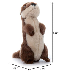 The Petting Zoo river otter helps kids learn about rivers and wildlife.