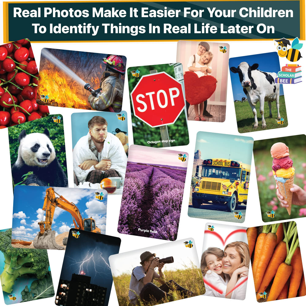 The Scholar Bee Animal flashcards use real photos to spark curiosity.