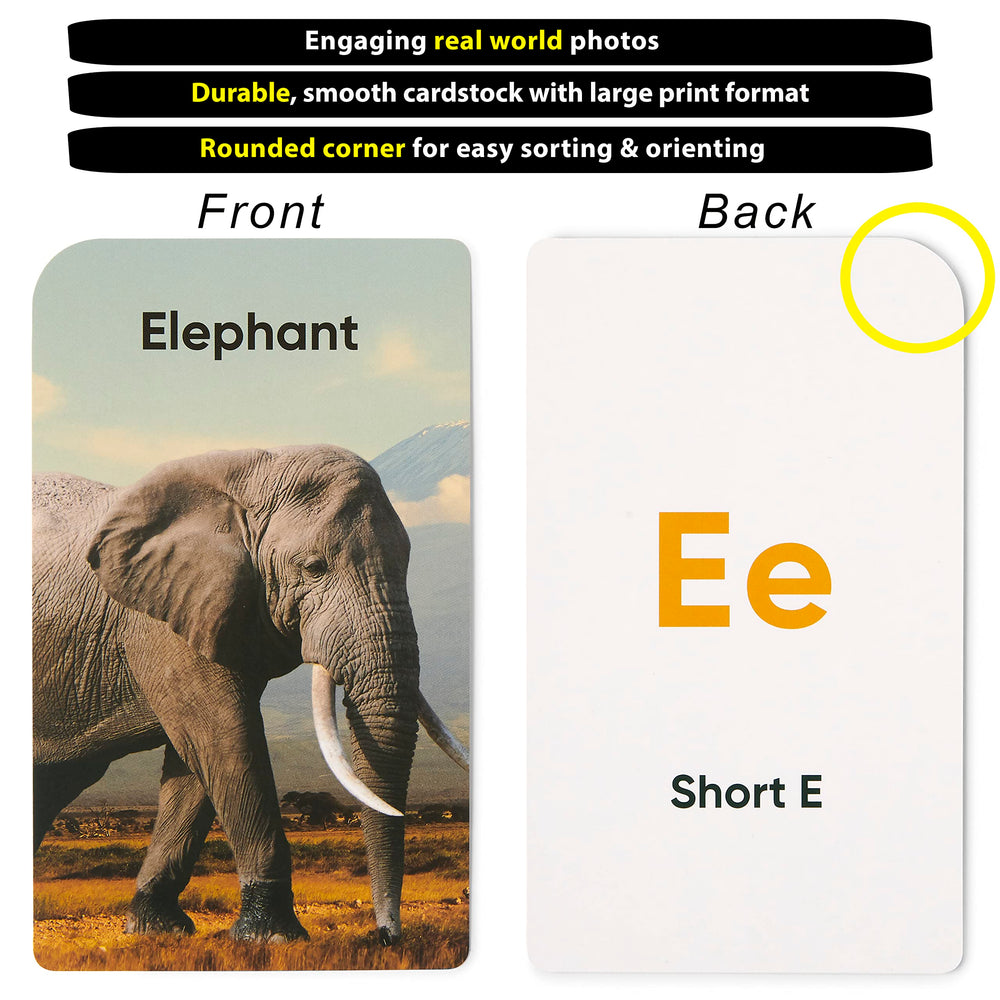 Think Tank Scholar first words flashcards with real-life images to boost vocabulary