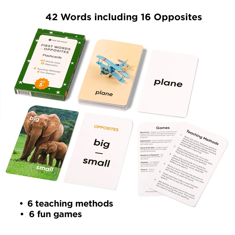 Think Tank Scholar jumbo card pack designed for hands-on learning at home