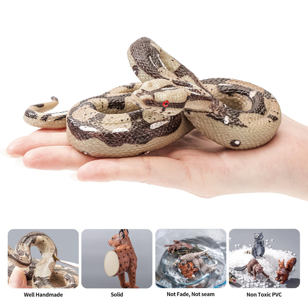 ThinkBay Brazilian whiteknee model for eye-catching indoor decor and pranks.